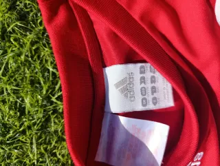 Camiseta Adidas Vintage Bau Mit XXS