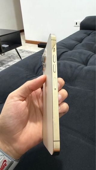 iPhone 13 Pro Max Oro