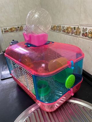 Casita y bola para hámster