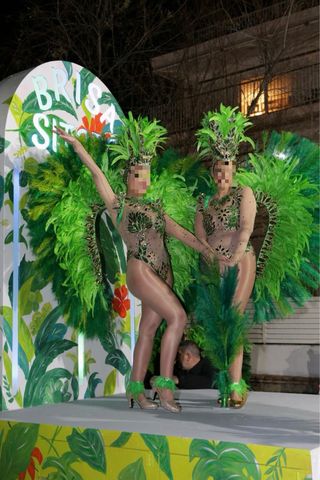 Disfraz Fantasía Plumas Verde Dorado