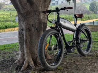 Bicicleta eléctrica (Bateria nueva)