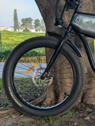 Bicicleta eléctrica (Bateria nueva)