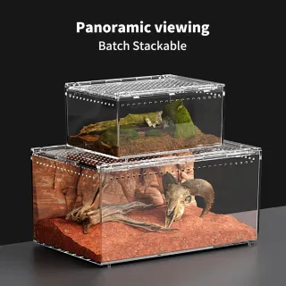 Terrario Reptiles 30x20x15cm