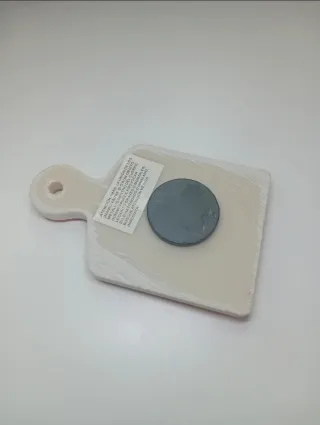 Imán Decorativo Lagarto Colores