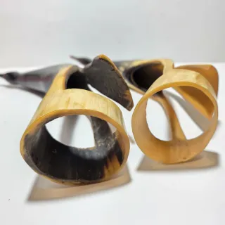 Due sculture a forma di uccelli in corno.