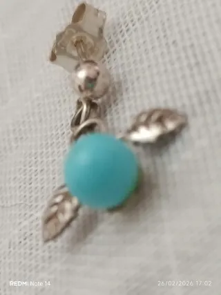 Orecchini Argento 925 con Turchese