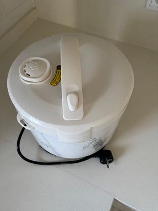 Olla Arrocera Automática CFXB-G40