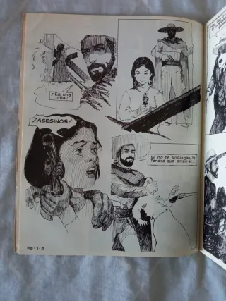 EL RAYO DE SINALOA. HERACLIO BERNAL.