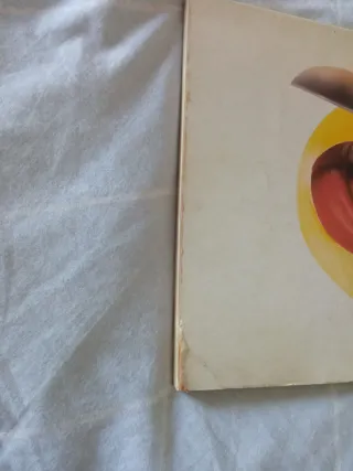 EL RAYO DE SINALOA. HERACLIO BERNAL.