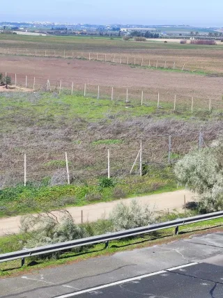 Parcela Rústica 5.000 m²