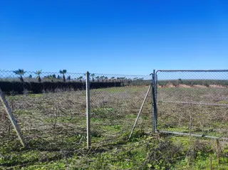 Parcela Rústica 5.000 m²