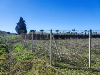 Parcela Rústica 5.000 m²