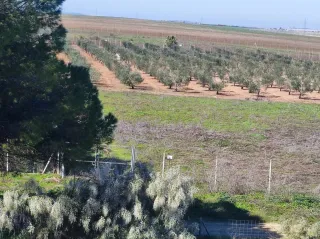 Parcela Rústica 5.000 m²