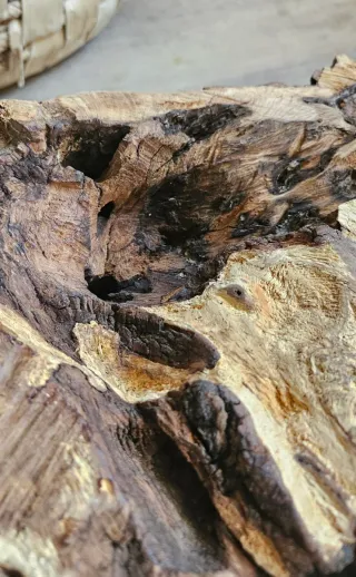 Tavolino tronco legno rustico