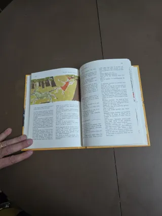 La Biblia Contada a Los Ninos