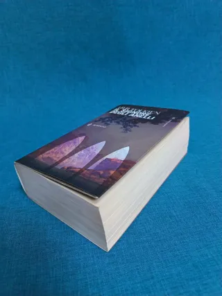 Signore Degli Anelli: II (Italian Edition)