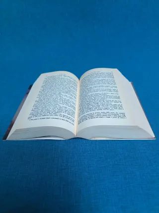 Signore Degli Anelli: II (Italian Edition)