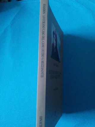 Lo strano caso del cane ucciso a mezzanotte