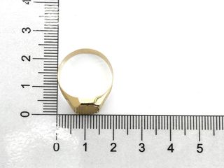 E1805179-163 Anillo Sello Oro 18k