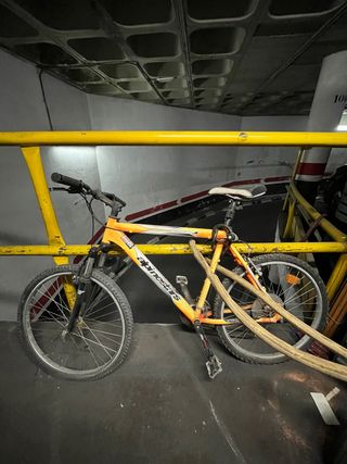 Bicicleta Alpinestars Naranja