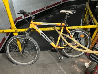 Bicicleta Alpinestars Naranja