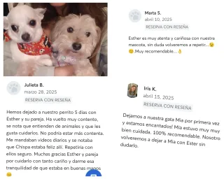Canguro perritos y gatos