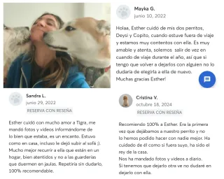 Canguro perritos y gatos