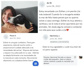 Canguro perritos y gatos