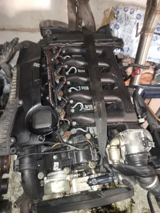 Motor BMW 306d2 218cv