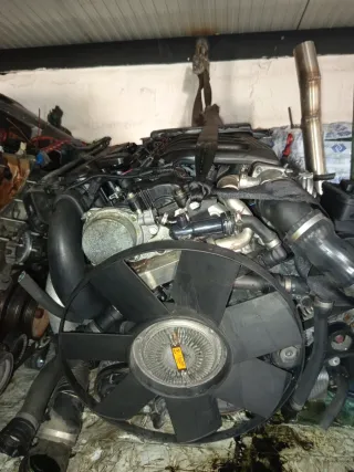 Motor BMW 306d2 218cv
