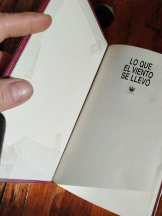 Lo que el viento se llevó