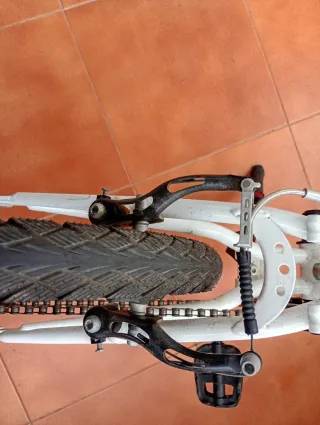 Bicicleta infantil 20 pulgadas