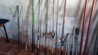Lote de cañas de pescar y accesorios
