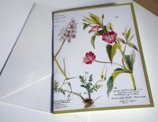 Regalo para mamá tarjetas con Ilustración Botánica