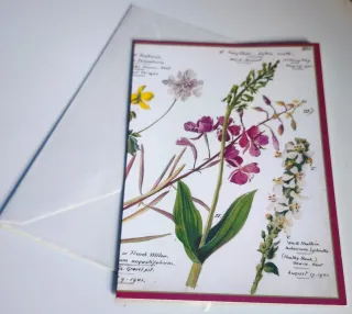 Regalo para mamá tarjetas con Ilustración Botánica