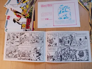 29 cómics capitán trueno 25 comics pantera negra