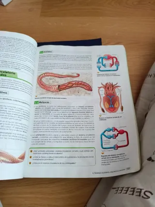 Código Bruño Biología y Geología 1 Bachillerato