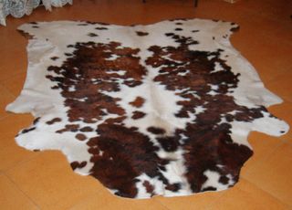 Piel de Vaca Asturiana Roxa