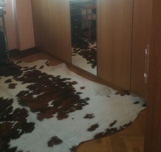 Piel de Vaca Asturiana Roxa