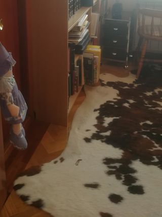 Piel de Vaca Asturiana Roxa