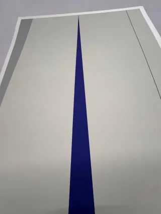 Arte @coleccionismo  @Anzo @serigrafia