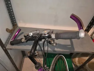 Bicicleta Diamondback morada