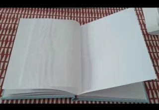 Álbum de Fotos Disney Mickey