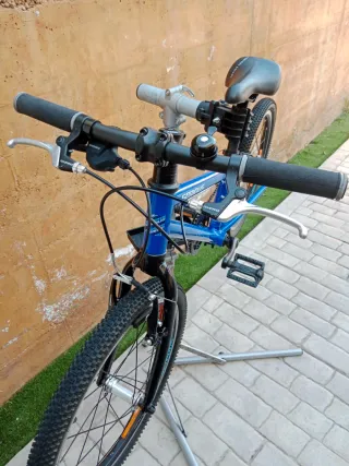 Bici Infantil Serious Superlite 20"