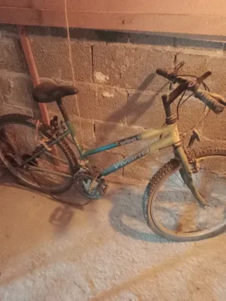 Bicicleta Clásica Vivanti