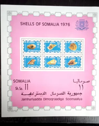 Francobolli Somalia 1976 - Conchiglie