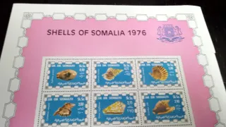 Francobolli Somalia 1976 - Conchiglie