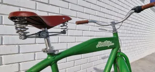 Bicicleta estilo cruiser verde