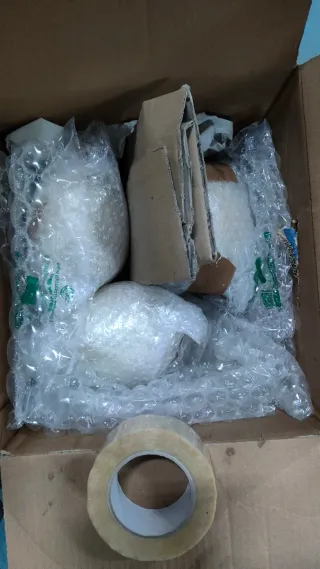 Uova di struzzo vuote (12 unità)