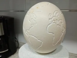 Uova di struzzo vuote (12 unità)